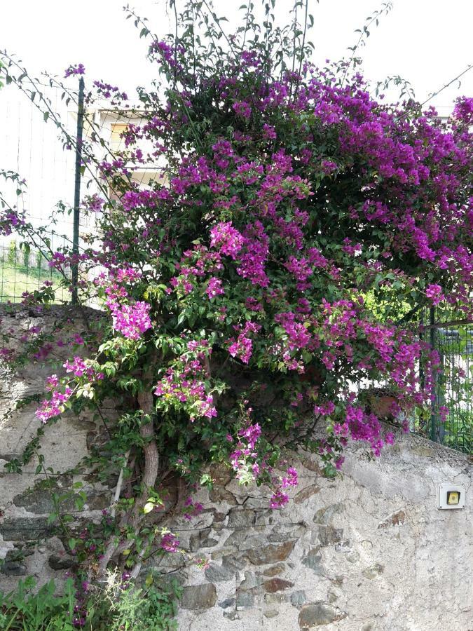 B&B Ai Tre Archi Spotorno Dış mekan fotoğraf
