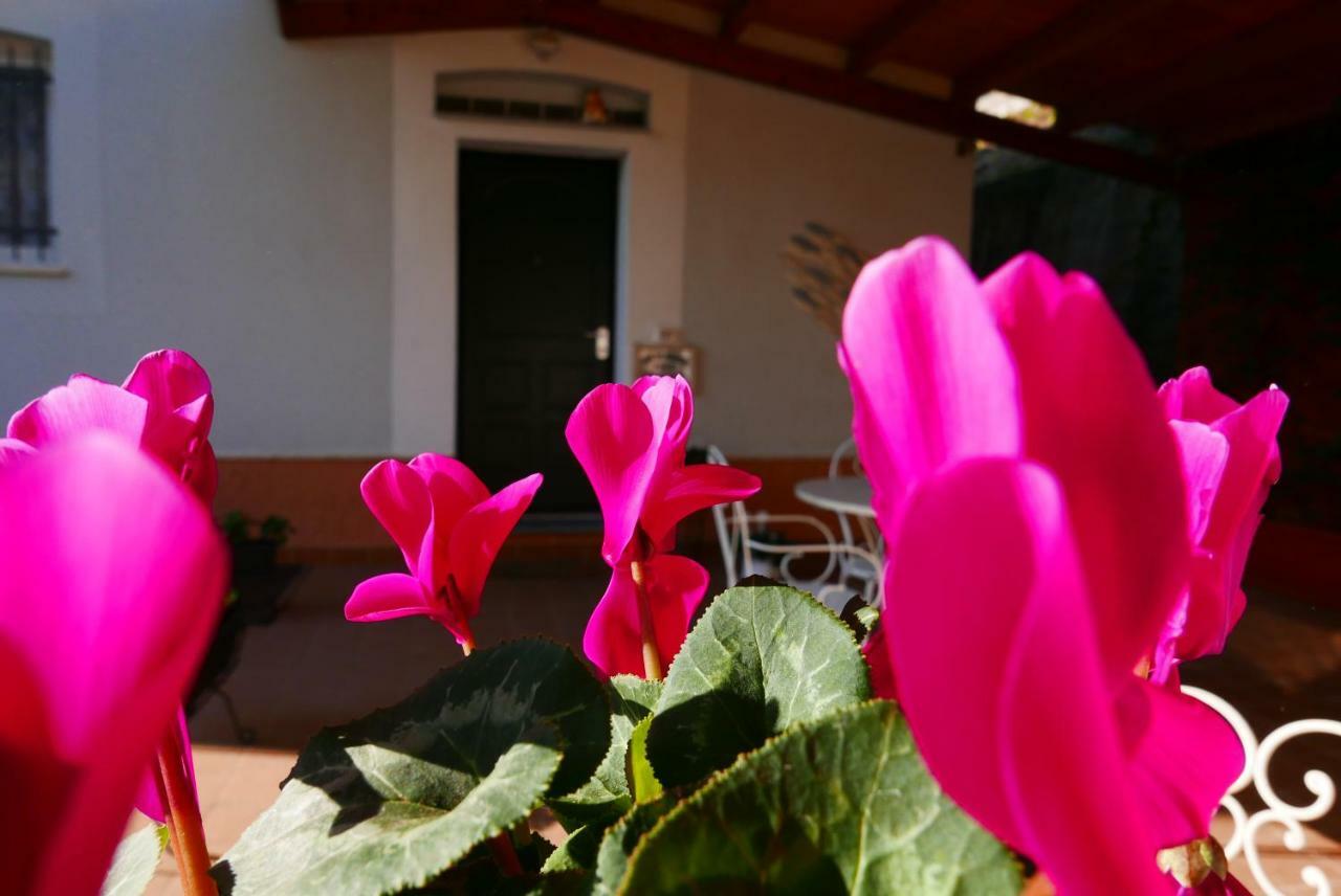 B&B Ai Tre Archi Spotorno Dış mekan fotoğraf